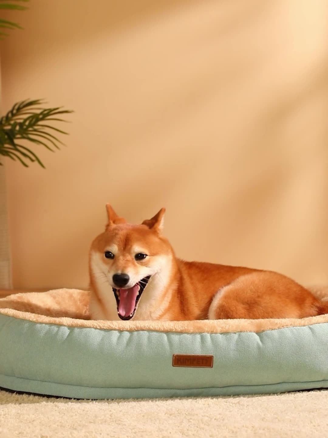 Plush Oval Pet Bed - Warm Bite-Resistant Kennel for Cats & Dogs