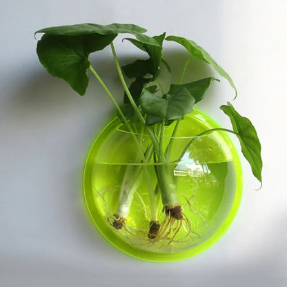Pot Plant Wall Mounted Newest Hanging Decor Bubble Bowl Flowers Fish Tank Home Decor Aquarium Home Decoration Accessories - Shello's Creative Boutique