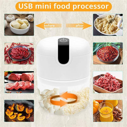 250ml Home Kitchen Appliances Vegetable Meat Electric Mini USB Rechargeable Multifunctional Chopper Garlic Masher Wireless Garlic Beater - Shello's Creative Boutique