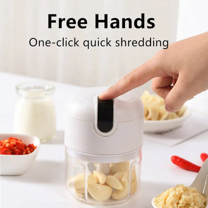 250ml Home Kitchen Appliances Vegetable Meat Electric Mini USB Rechargeable Multifunctional Chopper Garlic Masher Wireless Garlic Beater - Shello's Creative Boutique