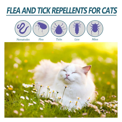 Pet Anti-Flea & Tick Treatment - Effective Parasite Control Solution - Shello's Creative Boutique