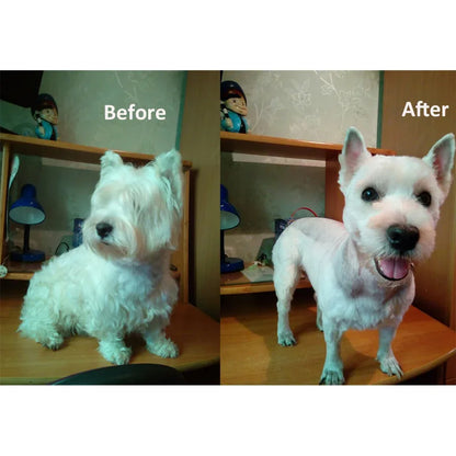 Pet Dog Hair Trimmer - Shello's Creative Boutique