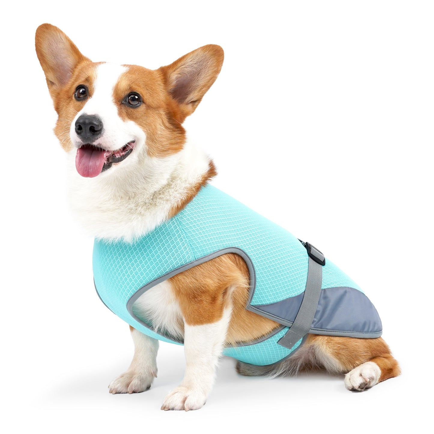 Pet Cooling Clothing Dog Clothing Pet Cooling Pet Supplies Shello Creative Boutique