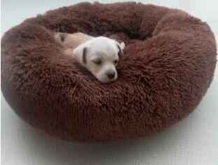 Donut Dog Bed - Soft Washable Pet Cushion for Dogs & Cats