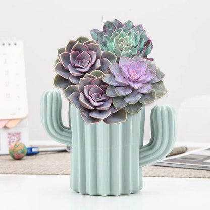 Can Be Used As a Vase/Pen Holder, Desktop Cactus, Desk, Multifunctional Storage, Flower Arrangement, Vase, Pot, Decoration - Shello's Creative Boutique
