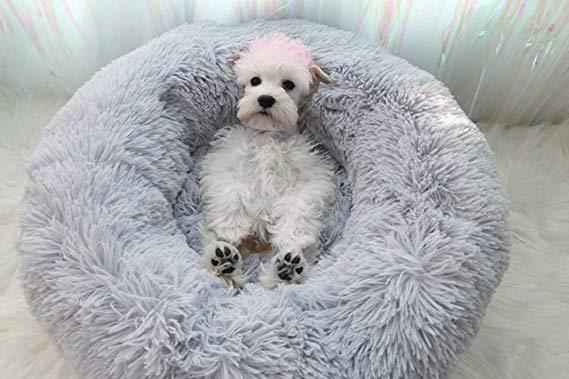 Plush Dog Bed - Soft Kennel Pet Cushion for Dogs & Cats