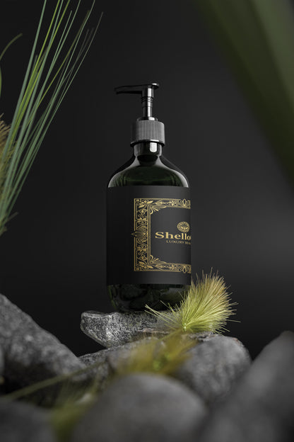 Hand & Body Wash, Ginger & Smoky Cardamom