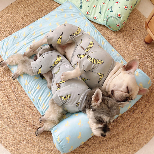 Cat dog pet ice pad summer autumn cooling heatstroke prevention sleeping mat fruit mat non-slip ice silk mat eprolo