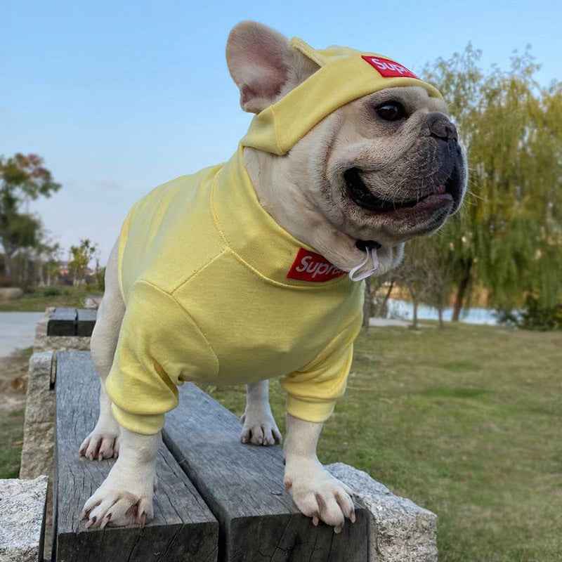 HYGGEPET Pet Clothing Fashion Brand Street Dog Clothing Fadou Teddy Schnauzer Undercoat Hat Set