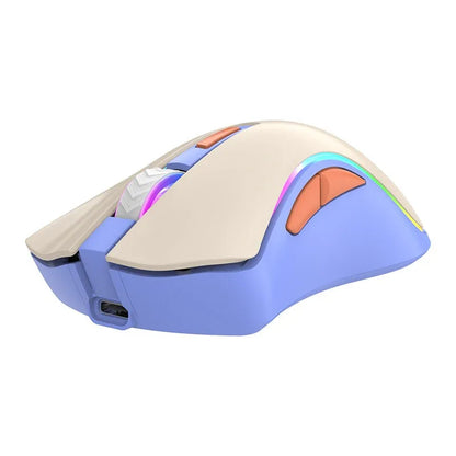 Wireless 2.4G Bluetooth dual-mode mouse rechargeable computer mute office gaming mouse - Shello's Creative Boutique