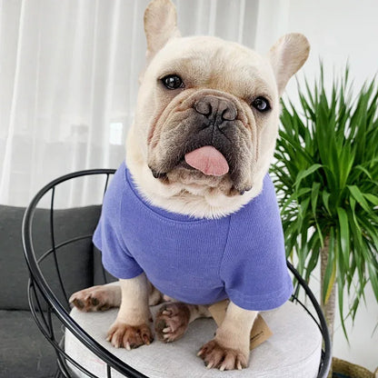 Spring And Autumn Kitten Pet Parent-Child Clothing Cat Clothes Embroidered Dog Clothing Long-Sleeved T-Shirt - Shello's Creative Boutique