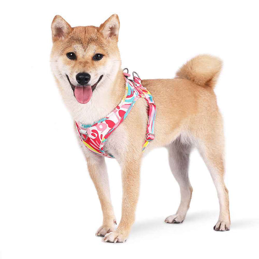 Printed Dog Harness & Leash - Anti-Escape Chest Strap