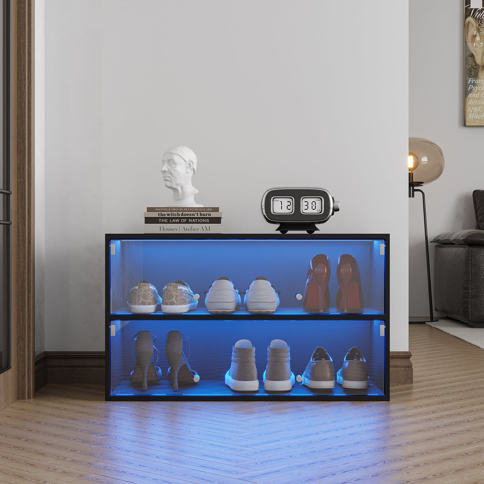 Black Glass Door Shoe Box Shoe Storage Cabinet With RGB Led Light eprolo