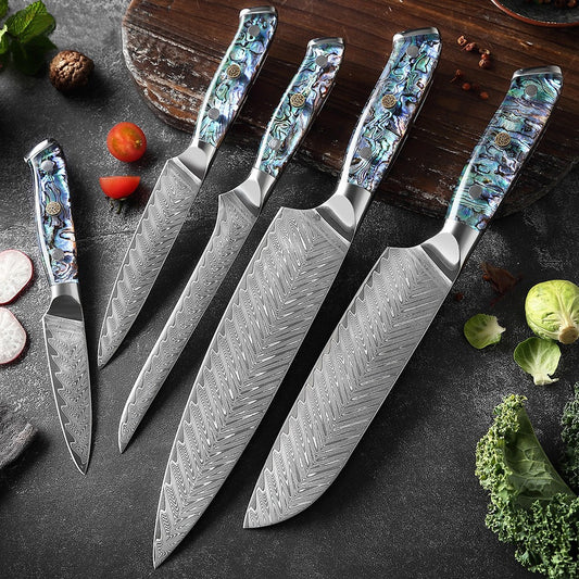 XITUO Damascus Steel Chef Knife Set Fine1-5 PCS Kitchen Knives Abalone shell handle Santoku knife eprolo