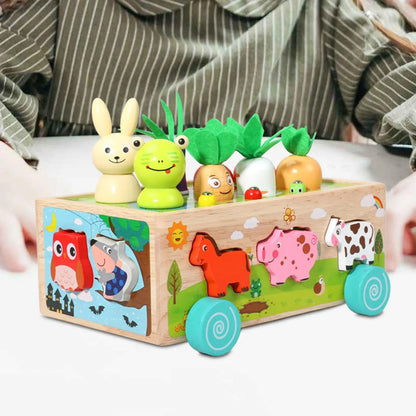 Montessori Toys Developmental Toy Carrot Harvest Game Wooden Toy Preschool Learning for Holiday Gift Ages 3 4 5 Years Old Kids eprolo