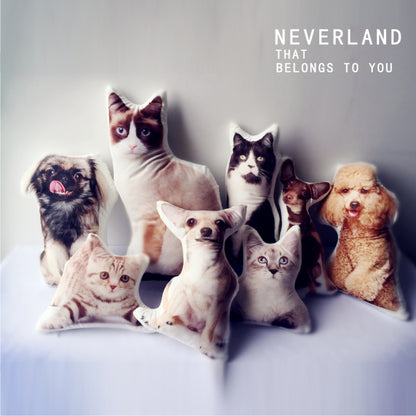 Cute Pet Shaped Pillow Custom To Map Custom DIY Sofa Cushion Car Pillow eprolo