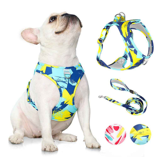 Printed Dog Harness & Leash - Anti-Escape Chest Strap