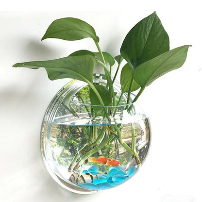Pot Plant Wall Mounted Newest Hanging Decor Bubble Bowl Flowers Fish Tank Home Decor Aquarium Home Decoration Accessories - Shello's Creative Boutique