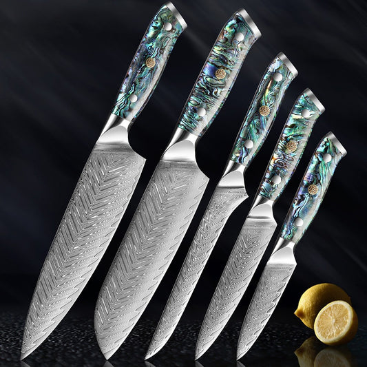 XITUO Damascus Steel Chef Knife Set Fine1-5 PCS Kitchen Knives Abalone shell handle Santoku knife eprolo