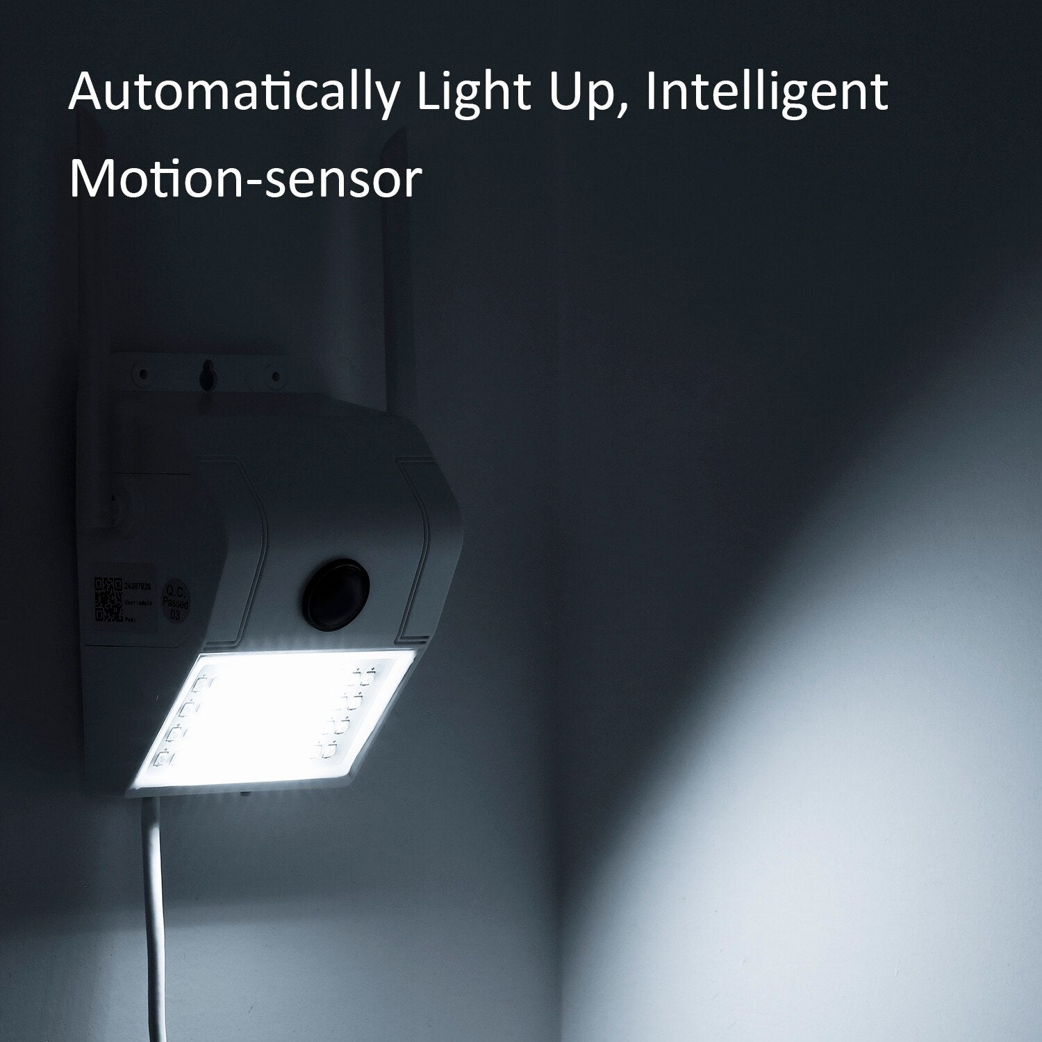 1080P Multifunctional WIFI Wireless Surveillance Outdoor Wall Light Webcam Security Camera PIR Motion Detection IP65 Waterproof eprolo