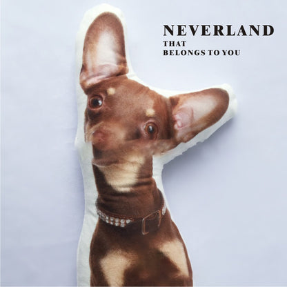 Cute Pet Shaped Pillow Custom To Map Custom DIY Sofa Cushion Car Pillow eprolo