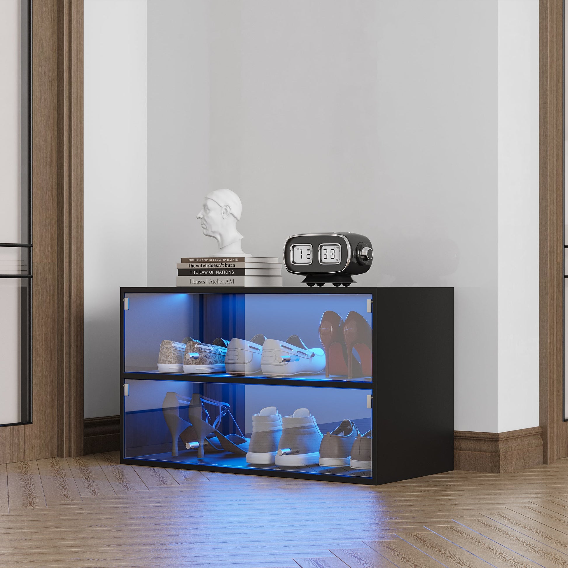 Black Glass Door Shoe Box Shoe Storage Cabinet With RGB Led Light eprolo