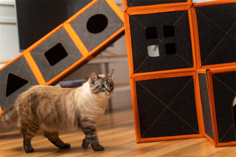 Cardboard Cat House Scratcher Breathable Pet Foldable Cat Toys And House For Cats eprolo