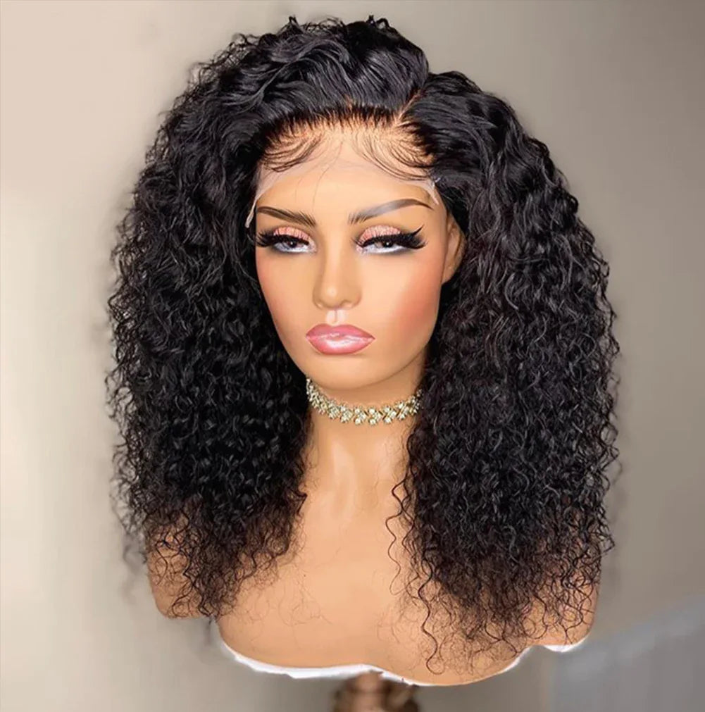 Afro Kinky Curly Lace Front Wig - High Temperature Synthetic - Shello's Creative Boutique
