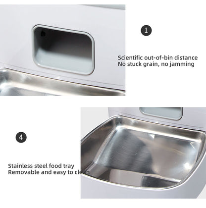 Wifi Smart APP Pet Feeder Household use Microchip Dog Automatic Pet Feeder Automatic Pet Feeder eprolo