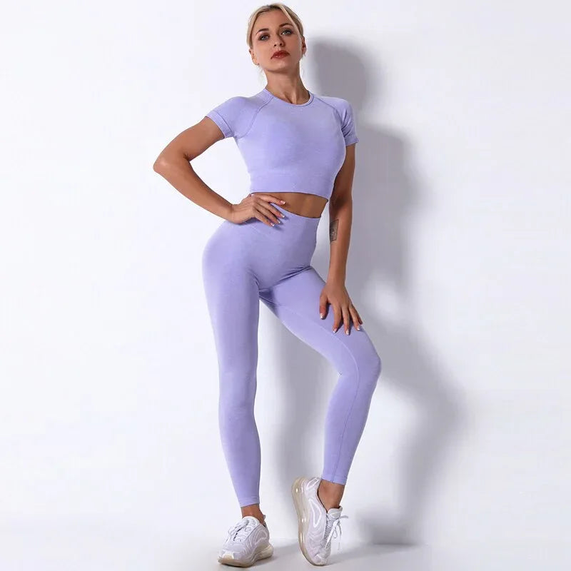 2Pcs/3Pcs/4Pcs Yoga Set Women Clotching Fitness Sportswear Seamless High Waist Leggings Shorts Shirt Crop Top Sport Bra - Shello's Creative Boutique