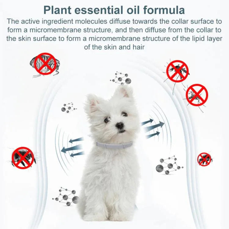 Pet Deworming Calming Collar Fleas Ticks Removing, Aluminum Box Packing - Shello's Creative Boutique