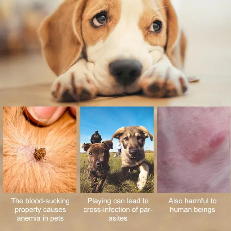 Pet Deworming Calming Collar Fleas Ticks Removing, Aluminum Box Packing - Shello's Creative Boutique