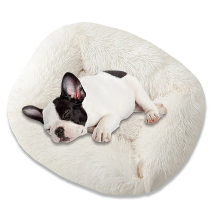 Square Dog Bed Long Plush Solid Color Pet Beds For Little Medium Large Pets Super Soft Winter Warm Sleeping Mats For Dogs Cats Shello Creative Boutique