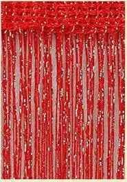 Shiny Curtain String Tassel Line Curtains - 3x2.4m Window Door Divider Drape - Living Room Decor Valance - Shello's Creative Boutique