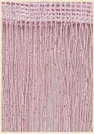 Shiny Curtain String Tassel Line Curtains - 3x2.4m Window Door Divider Drape - Living Room Decor Valance - Shello's Creative Boutique