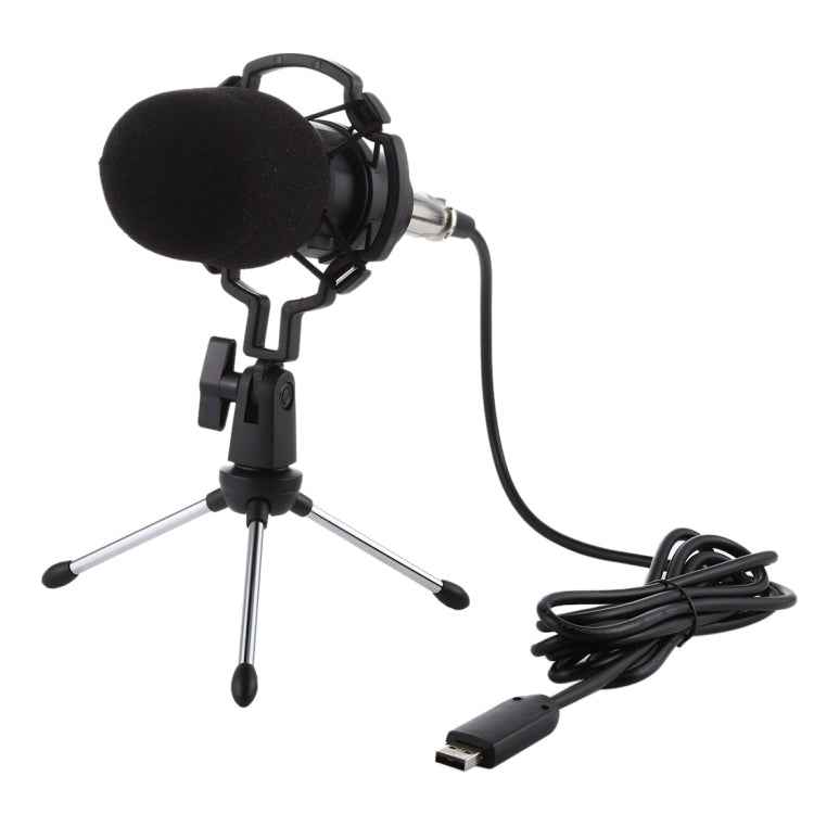 BM-700 USB Professional Condenser Microphone