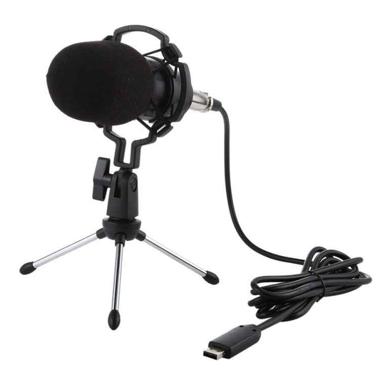 BM-700 USB Professional Condenser Microphone