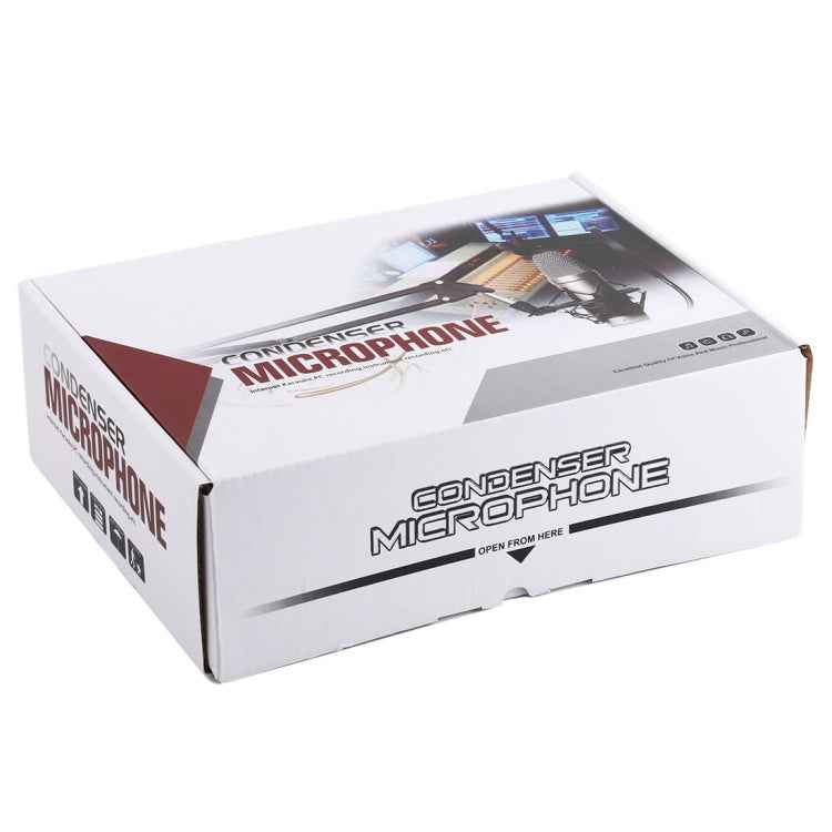 BM-700 USB Professional Condenser Microphone