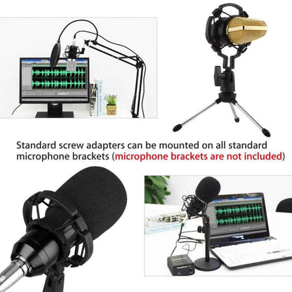 BM-700 USB Professional Condenser Microphone