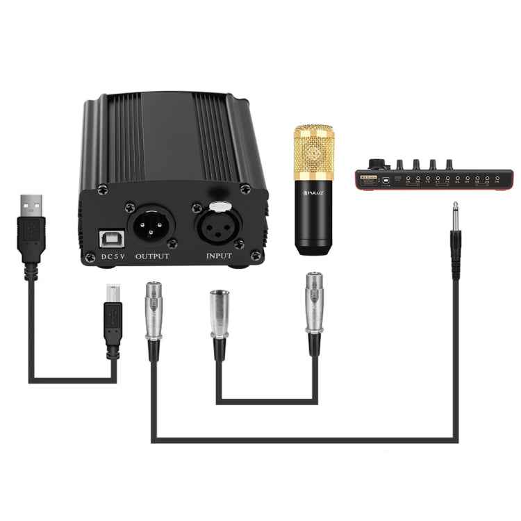 PULUZ Condenser Microphone Studio Broadcast Professional Singing Microphone Kits with Suspension Scissor Arm & Metal Shock Mount & USB Sound Card, Power By 48V