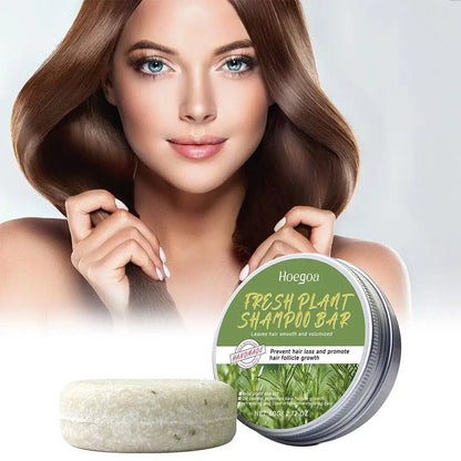 Rosemary Hair Loss Shampoo Soap - Deep Cleansing & Scalp Massage Bar - Shello's Creative Boutique