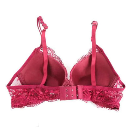 Women Sexy Lace Bra 2Pcs/Sets Fashion Thin Breathable Bra Push-up Underwear Underpants Female Embroidered Hollowed Lace Bra Set