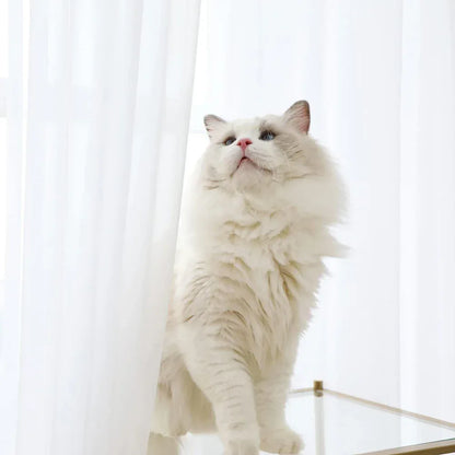 Sheer White Tulle Curtains – Elegant Voile Window Drapes - Shello's Creative Boutique