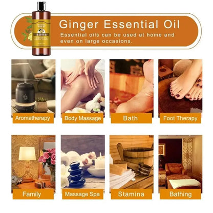 EELHOE Ginger Essential Oil – Hydrating Body & Face Cream for Massage & Relaxation (100ml) - Shello's Creative Boutique