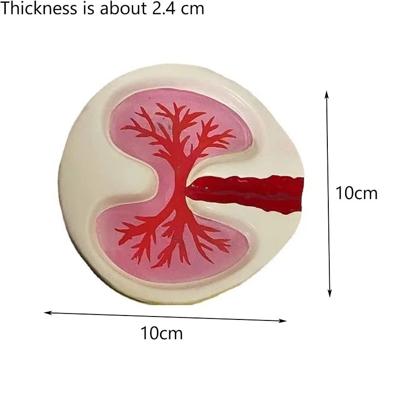 Pink Lung Ashtray – Funny Resin Desktop Cigarette Ash Tray