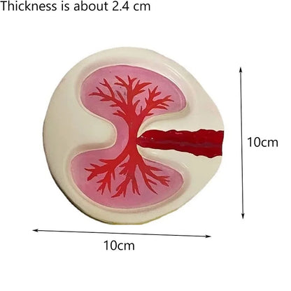 Pink Lung Ashtray – Funny Resin Desktop Cigarette Ash Tray