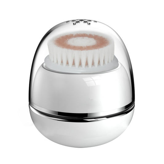 Duosi DY-103 USB Rechargeble Electric Facial Cleansing Brush Waterproof Face Deep Pore Cleaning Massager Exfoliator Oil Dirt Blackhead Remove - Shello's Creative Boutique