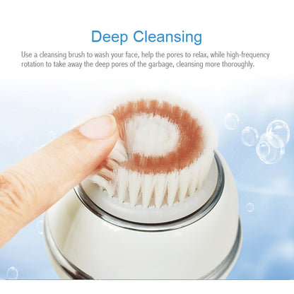 Duosi DY-103 USB Rechargeble Electric Facial Cleansing Brush Waterproof Face Deep Pore Cleaning Massager Exfoliator Oil Dirt Blackhead Remove - Shello's Creative Boutique