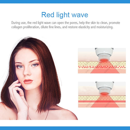 Duosi DY-103 USB Rechargeble Electric Facial Cleansing Brush Waterproof Face Deep Pore Cleaning Massager Exfoliator Oil Dirt Blackhead Remove - Shello's Creative Boutique