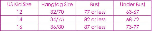 Wokeayer Vintage Plaid Push-Up Bra & Panty Set – Seamless Wire-Free Lingerie for Women, Sexy Fitness Underwear (Sizes 70A–80B)